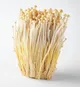 Enoki sopp